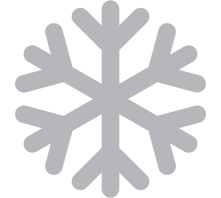 Icon of a snowflake