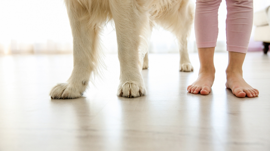 Kid feet and dog paws on warm hardwood floors